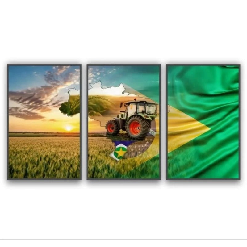 Kit 3 Quadros Decorativos Agropecuária e Agronomia sem Moldura